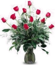 Roses for mom ...